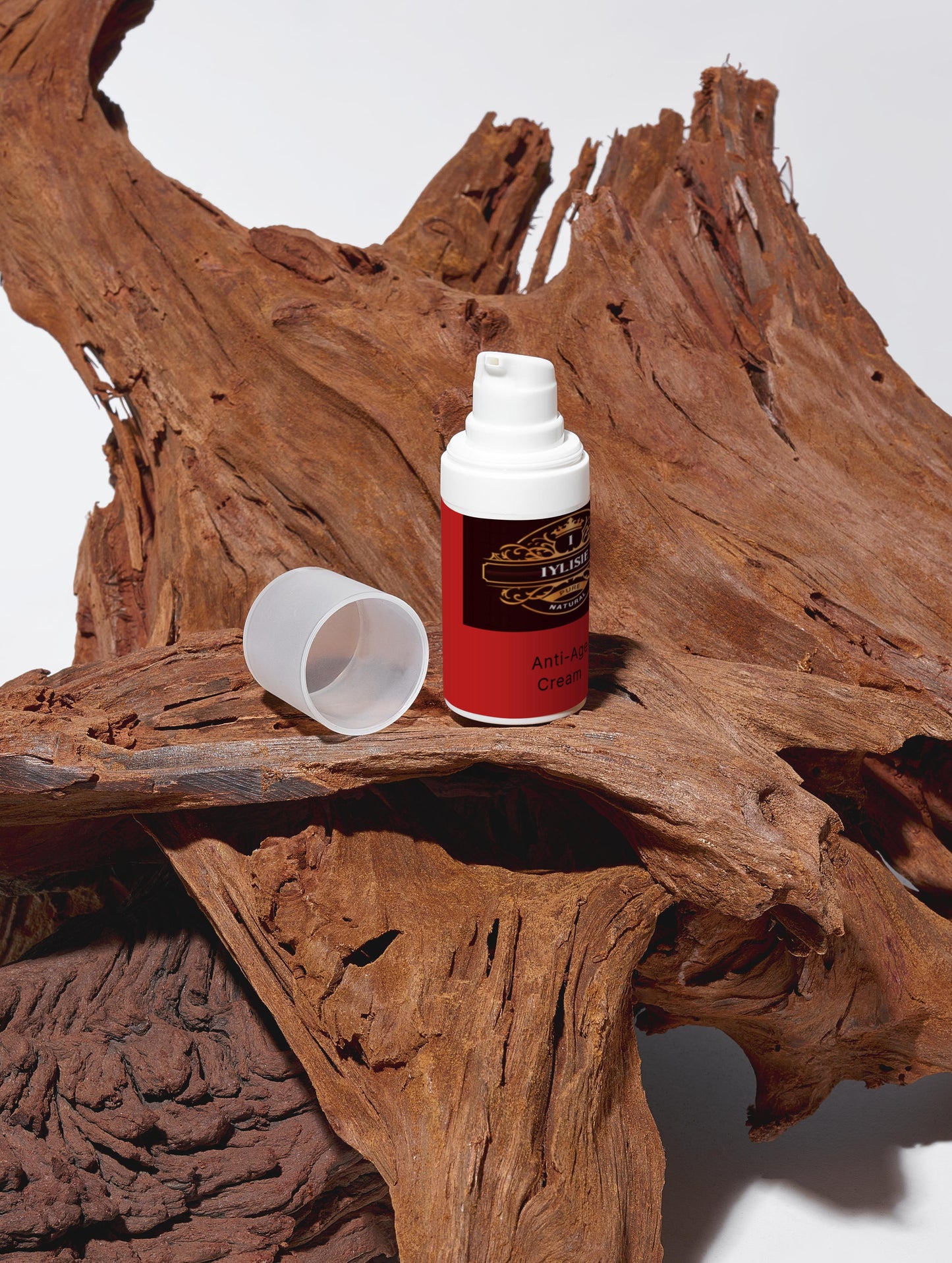 Summer Season Bestsellers Collection Box