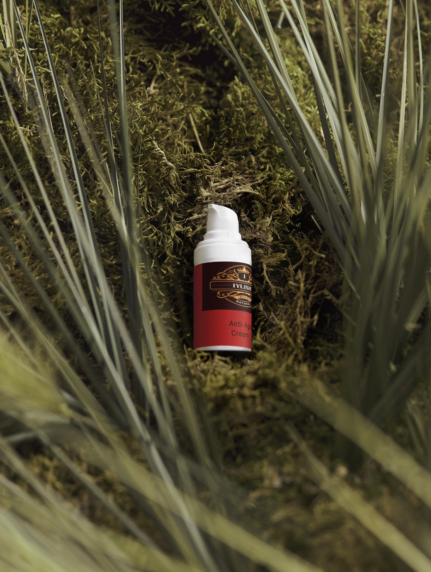 Summer Season Bestsellers Collection Box