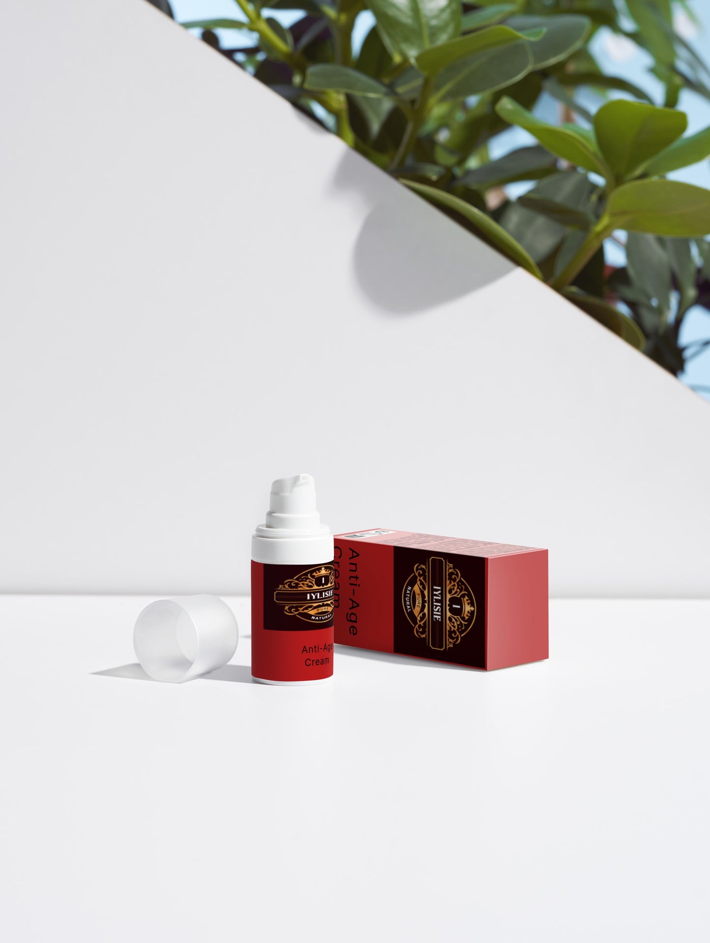 Summer Season Bestsellers Collection Box