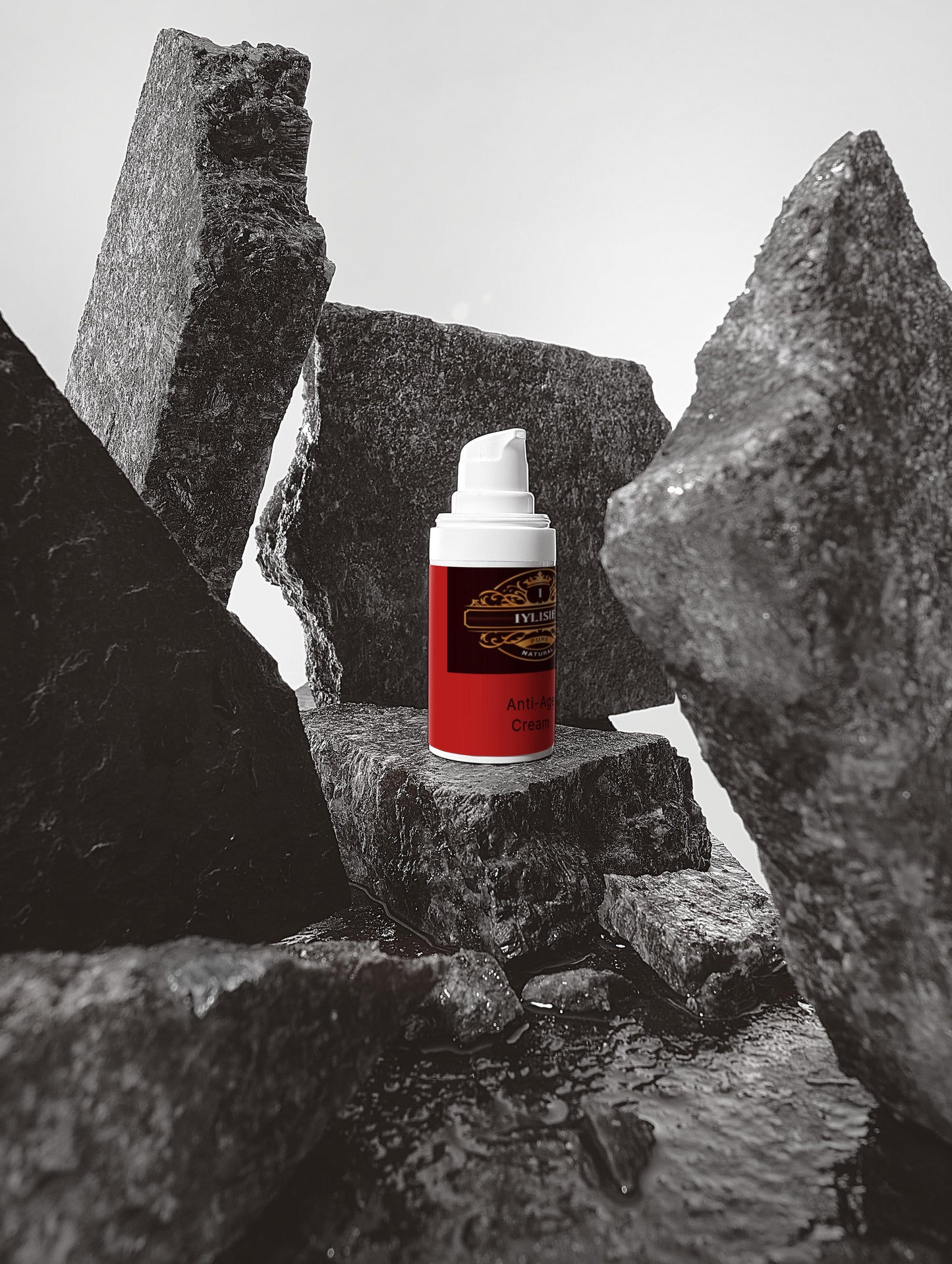 Summer Season Bestsellers Collection Box